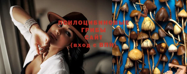 спайс Иннополис