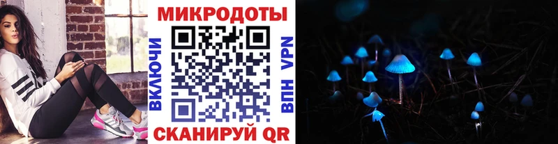наркота  Жуковский  Псилоцибиновые грибы мухоморы 