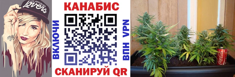 Бошки Шишки SATIVA & INDICA  Жуковский 